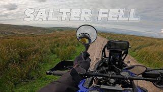 Salter Fell Trail, Yamaha Tenere WorldRaid & Triumph Rally Pro #tenereworldraid #offroad #endurance