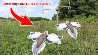 This NEW Avian-X Dove is COMPLETELY DIFFERENT! (Avian-X Powerflight Spinning Wing Dove)