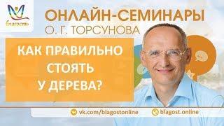 Как правильно стоять у дерева? Олег Торсунов. Как стать здоровым, д1, Благость, 22.03.18