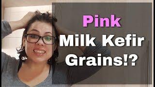 Pink milk kefir grains?