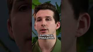 Different Types of Electrical Stimulation