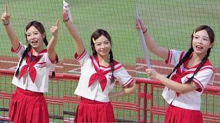 群群 味全龍啦啦隊 Dragon Beauties 小龍女 天母棒球場 20250617