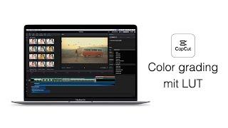 CapCut: Color grading mit LUT | CapCut für PC & Mac