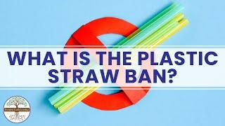 What Is the Plastic Straw Ban? Dynamic Earth Learning Video