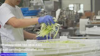 Dehydrated Vegetables Radish Slices Production Line