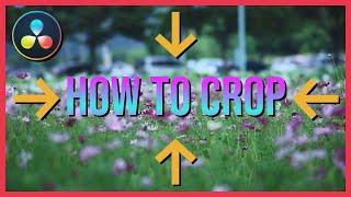 How to Crop Video in DaVinci Resolve 17 Tutorial