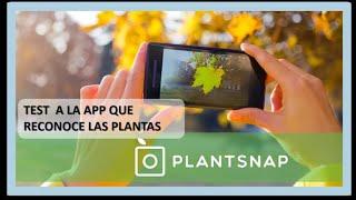 PLANT RECOGNIZING APP: PLANTSNAP ... Will it work?