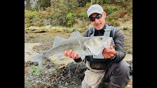 Pêche du bar à vue à la mouche en Bretagne avec Jean-Baptiste Vidal