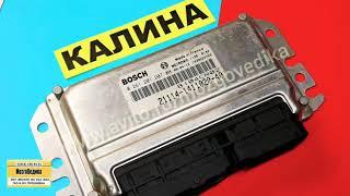 ЭБУ (Мозги) ВАЗ Калина 21114-1411020-40. 1.6, 8 клапанов, евро-3. Обзор и прошивка ЭБУ Бош 797+.