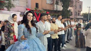 Gelin Hanım Başı Çekiyor - Harika Bir Nişan Videosu - Halay - Kurdish Wedding - Tofan Erdal