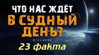 Что нас ждёт в Конце света? 23 факта