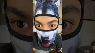 My Dog Doesn’t Bite!