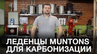 Карбонизация пива. Леденцы для карбонизации пива "Muntons"