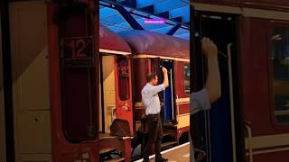 The Ultimate Night Train Experience #shorts