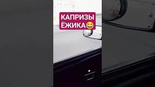 ДОВЕРЯЙ СВОЕМУ АВТО#иж #2126 #ода #вирусные #настроение #шортсы