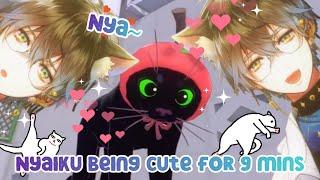 Nyaiku being cute for 9 mins : Funny & cute moments [ Ike Eveland ]