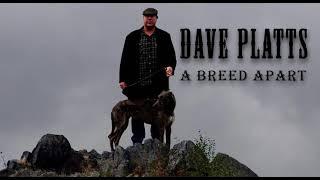 Deerhounds with Dave Platts