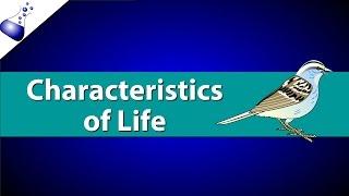 Characteristics of Life