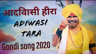 Adivasi Tara Gondi Song 2020 | Ravi meshram | Jai heera