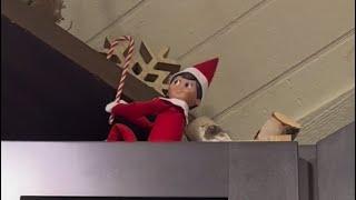 Elf on the Shelf Part 1