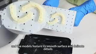 Dental DLP 3D Printer Surgical Guide modle D158 - PioCreat 3D