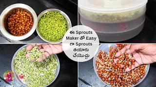 ఈ Sprouts Maker తో Easy గా Sprouts తయారు చేయొచ్చు | Sprouts Maker Review