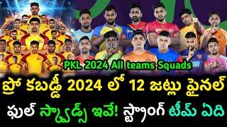 PKL 2024 All teams full squads || PKL Season 11 all teams squads