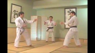 Jiyu Ippon Kumite