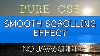 Smooth scrolling effect using CSS only | Computer Conversation