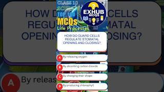 Life Processes Class 10 Biology #exhub #exhubmcqs #class10mcq #quiz #biologymcqs #examhub #quiztime