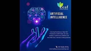 Leaf Business Consulting Services