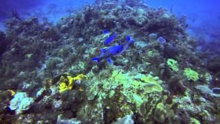 St kitts - Saba, Explorer ll,  Gopro Hero 3