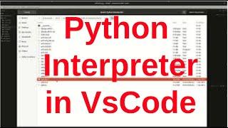 Selecting the correct python interpreter in VSCode