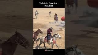 Hamid polvon Shahrisabz Suvsultondan  #shorts #horse #alochi #kopkari