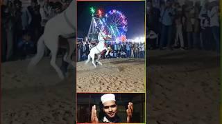 গোরাটি কিভাবে আল্লাহ জিকির করে #trending#islamicstatus#shorts#viralvideo#youtubeshorts#shortsfeed