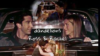 Ross and Rachel | I’m in a field of dandelions wishing on every one that you’ll be mine