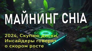  Майнинг Chia сново выгоден? ️Итоги майнинга. Скупаю диски, инсайдеры говорят о скором росте?