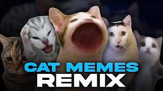 ALL CAT MEMES REMIX