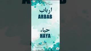 ARBAB & HAYA | Name Meaning Status || Urdu e Hind Official