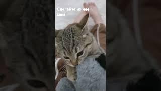 сделайте из нее мем пж ️‍