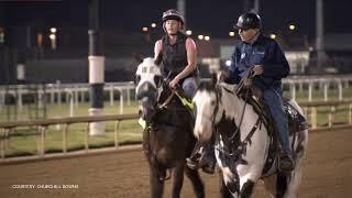 Eddie Olczyk Kentucky Derby Contenders Just Steel