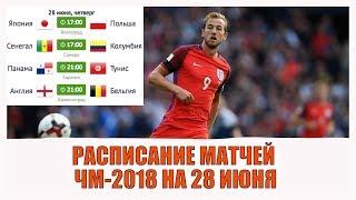 Расписание матчей ЧМ 2018 на 28 июня 2018