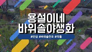 용설이네 바위솔농원 구경구경!