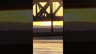 Tacoma Narrows Bridge #shorts