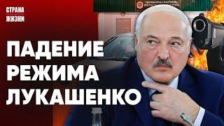 ЛУКАШЕНКО СВЕРГНУТ В 2025 ГОДУ. Бредни и пустые слова диктатора. Огромные очереди на границе