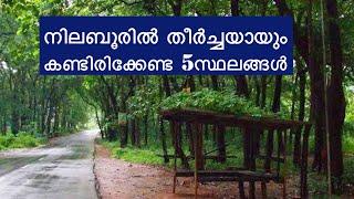 നിലമ്പൂരിൽ ഈ സ്ഥലങ്ങൾ നിങ്ങൾ കണ്ടിട്ടുണ്ടോ #nilambur #malayalamvlog