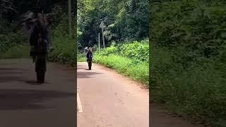 Drz bike stuns