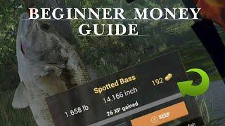 fishing planet beginners guide