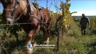 Bande annonce la France des Docs : leçon de biodynamie