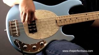 Music Man StingRay w/ Maple Fingerboard Demo - The Perfect Bass